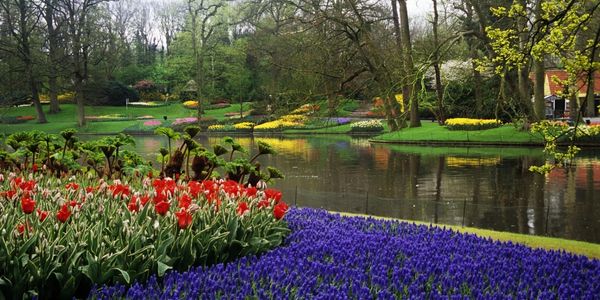 Hollanda