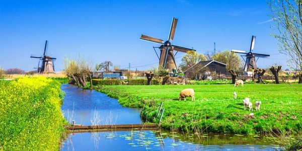 Hollanda